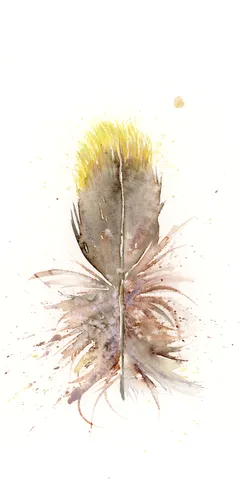 Image of a feather watercolor painting by Shayna Larsen, originals & prints available
