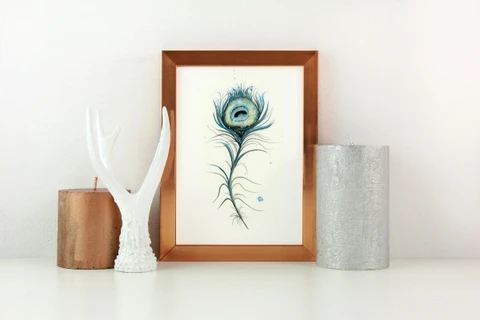 Image of a feather watercolor painting by Shayna Larsen, originals & prints available