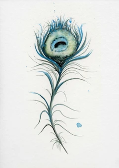 Image of a feather watercolor painting by Shayna Larsen, originals & prints available