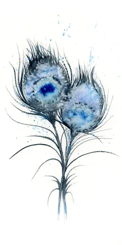 Image of a feather watercolor painting by Shayna Larsen, originals & prints available