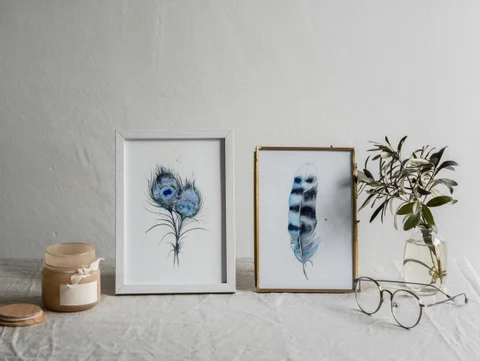 Image of a feather watercolor painting by Shayna Larsen, originals & prints available