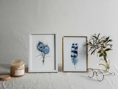 Image of a feather watercolor painting by Shayna Larsen, originals & prints available