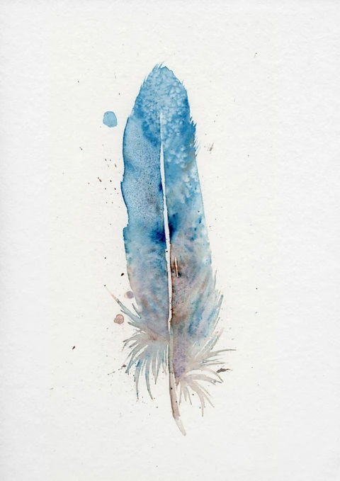 Image of a feather watercolor painting by Shayna Larsen, originals & prints available