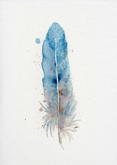 Image of a feather watercolor painting by Shayna Larsen, originals & prints available