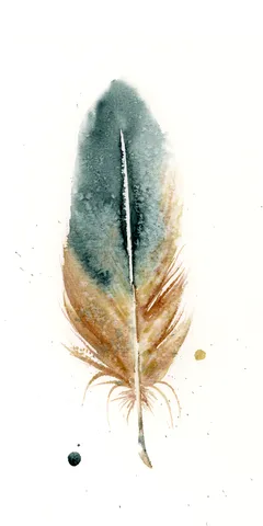 Image of a feather watercolor painting by Shayna Larsen, originals & prints available