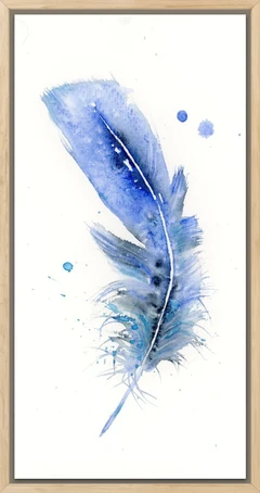 Image of a feather watercolor painting by Shayna Larsen, originals & prints available