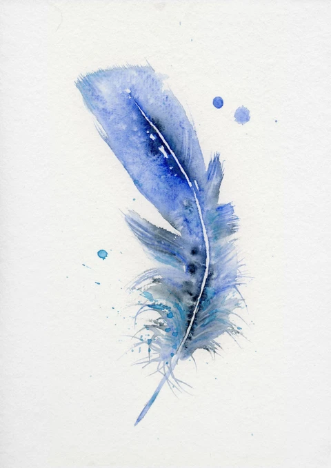 Image of a feather watercolor painting by Shayna Larsen, originals & prints available
