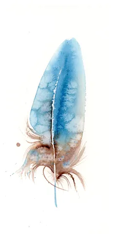 Image of a feather watercolor painting by Shayna Larsen, originals & prints available