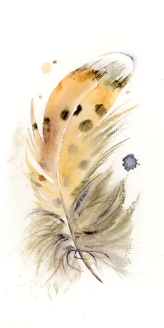 Image of a feather watercolor painting by Shayna Larsen, originals & prints available