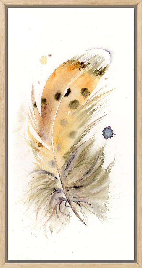 Image of a feather watercolor painting by Shayna Larsen, originals & prints available