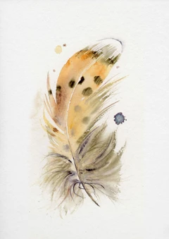 Image of a feather watercolor painting by Shayna Larsen, originals & prints available