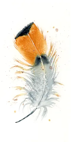 Image of a feather watercolor painting by Shayna Larsen, originals & prints available