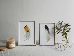 Image of a feather watercolor painting by Shayna Larsen, originals & prints available