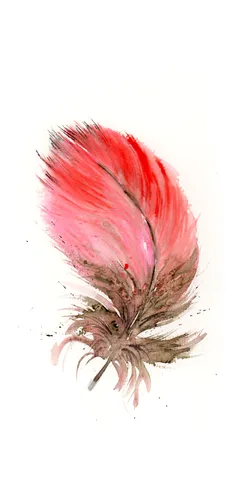 Image of a feather watercolor painting by Shayna Larsen, originals & prints available