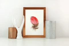 Image of a feather watercolor painting by Shayna Larsen, originals & prints available