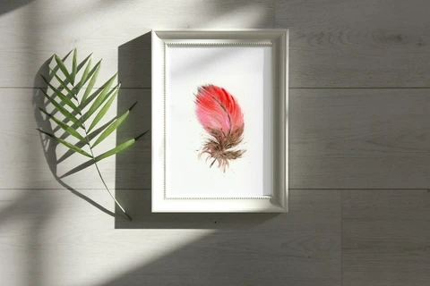 Image of a feather watercolor painting by Shayna Larsen, originals & prints available