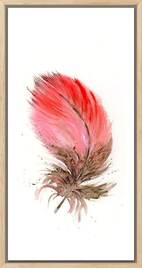 Image of a feather watercolor painting by Shayna Larsen, originals & prints available
