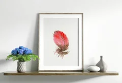 Image of a feather watercolor painting by Shayna Larsen, originals & prints available
