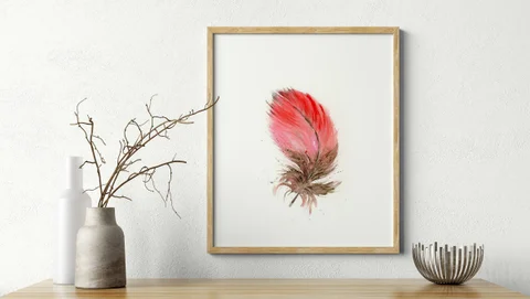 Image of a feather watercolor painting by Shayna Larsen, originals & prints available