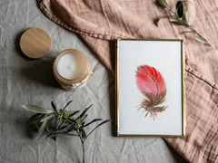 Image of a feather watercolor painting by Shayna Larsen, originals & prints available