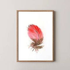 Image of a feather watercolor painting by Shayna Larsen, originals & prints available