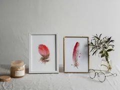 Image of a feather watercolor painting by Shayna Larsen, originals & prints available