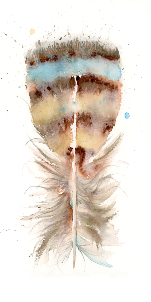 Image of a feather watercolor painting by Shayna Larsen, originals & prints available