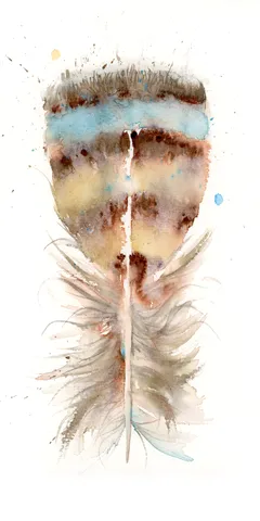 Image of a feather watercolor painting by Shayna Larsen, originals & prints available