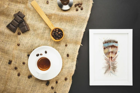 Image of a feather watercolor painting by Shayna Larsen, originals & prints available