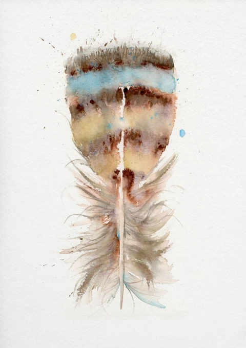 Image of a feather watercolor painting by Shayna Larsen, originals & prints available
