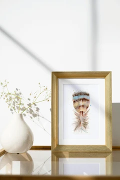 Image of a feather watercolor painting by Shayna Larsen, originals & prints available