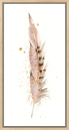 Image of a feather watercolor painting by Shayna Larsen, originals & prints available