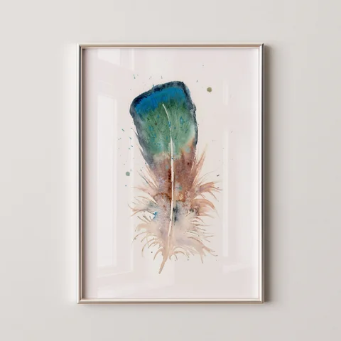 Image of a feather watercolor painting by Shayna Larsen, originals & prints available