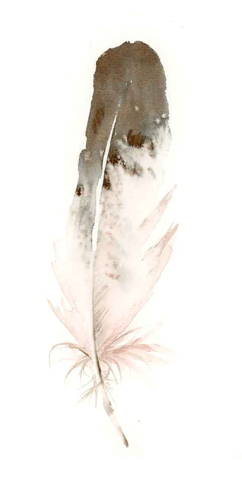 Image of a feather watercolor painting by Shayna Larsen, originals & prints available