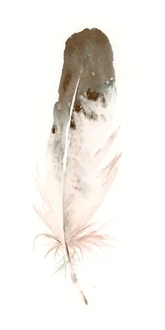Image of a feather watercolor painting by Shayna Larsen, originals & prints available