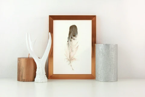 Image of a feather watercolor painting by Shayna Larsen, originals & prints available