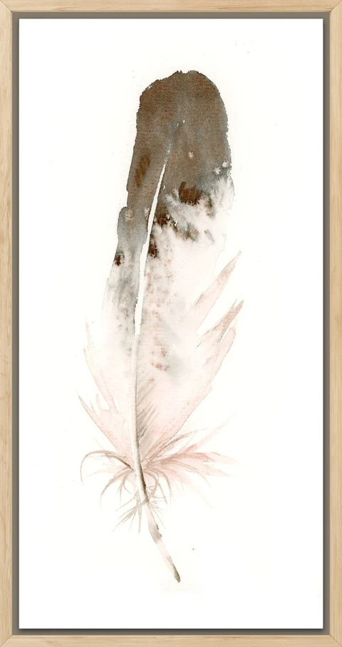 Image of a feather watercolor painting by Shayna Larsen, originals & prints available