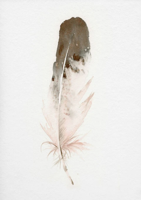 Image of a feather watercolor painting by Shayna Larsen, originals & prints available