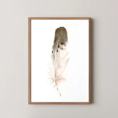 Image of a feather watercolor painting by Shayna Larsen, originals & prints available