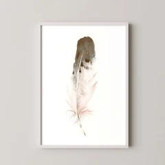 Image of a feather watercolor painting by Shayna Larsen, originals & prints available