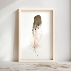 Image of a feather watercolor painting by Shayna Larsen, originals & prints available