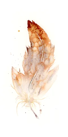 Image of a feather watercolor painting by Shayna Larsen, originals & prints available