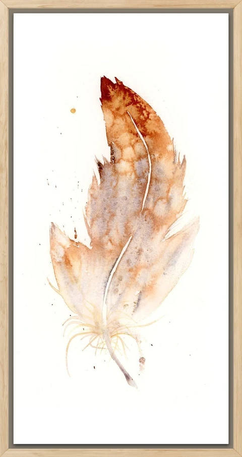 Image of a feather watercolor painting by Shayna Larsen, originals & prints available