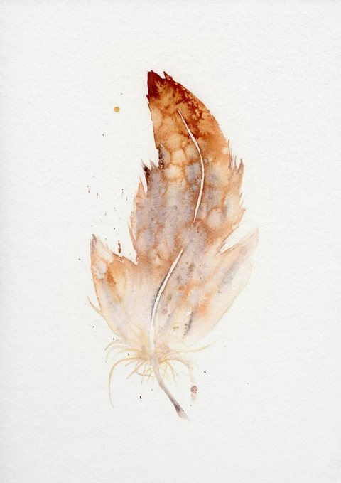 Image of a feather watercolor painting by Shayna Larsen, originals & prints available