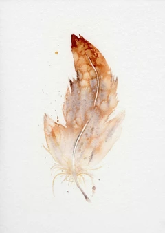 Image of a feather watercolor painting by Shayna Larsen, originals & prints available