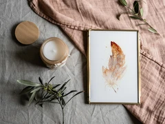 Image of a feather watercolor painting by Shayna Larsen, originals & prints available