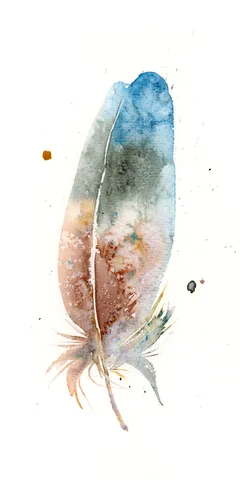 Image of a feather watercolor painting by Shayna Larsen, originals & prints available