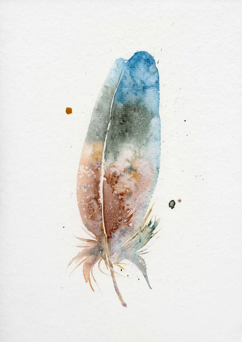 Image of a feather watercolor painting by Shayna Larsen, originals & prints available