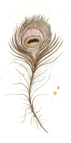 Image of a feather watercolor painting by Shayna Larsen, originals & prints available