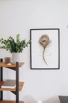 Image of a feather watercolor painting by Shayna Larsen, originals & prints available